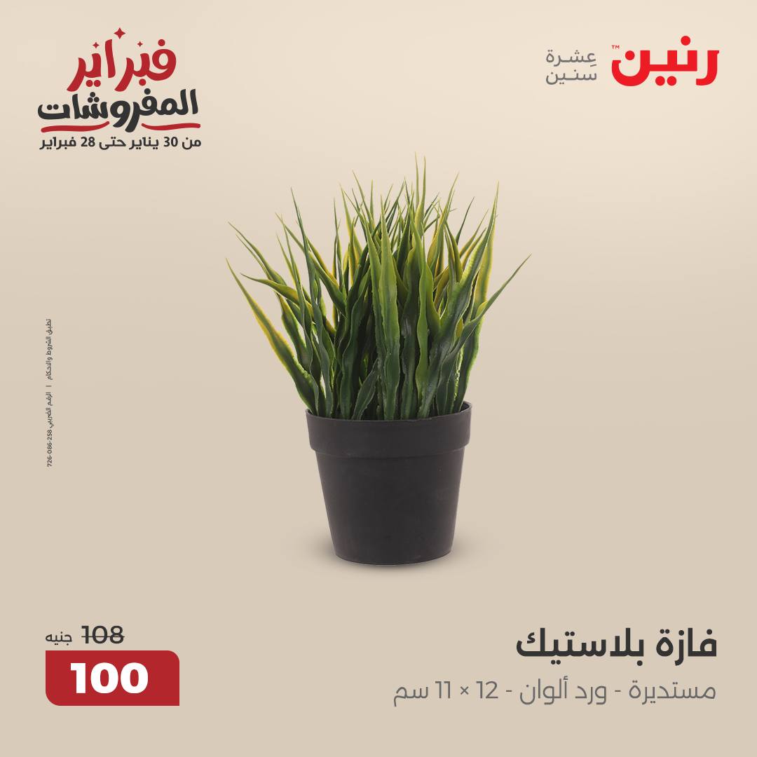 raneen offers from 13feb to 15feb 2025 عروض رنين من 13 فبراير حتى 15 فبراير 2025 صفحة رقم 31